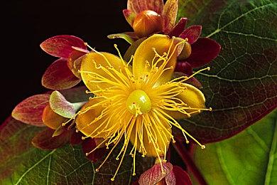 《赛博朋克2077》1.31更新推出 完整日志发布